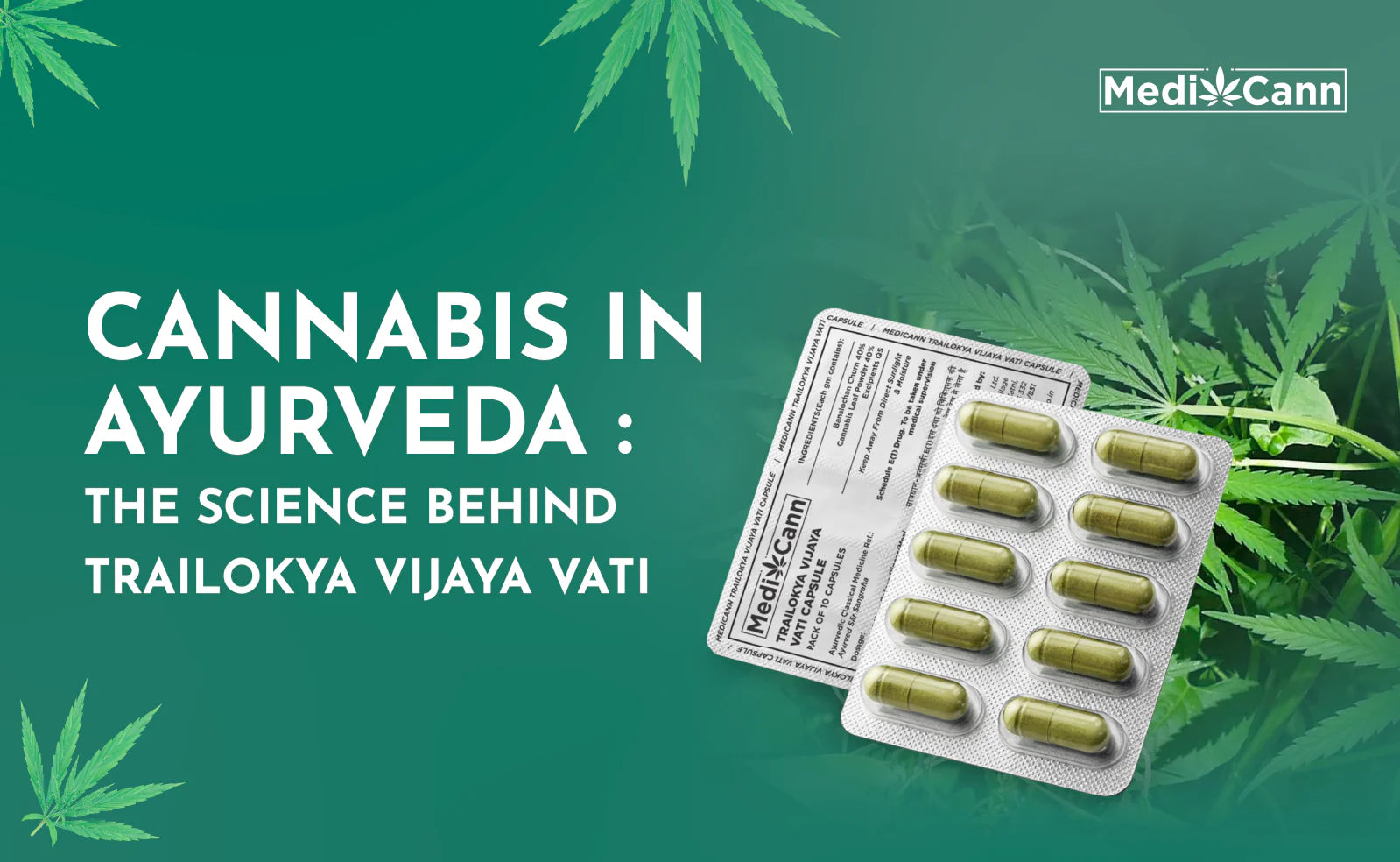 Cannabis in Ayurveda: The Science Behind Trailokya Vijaya Vati