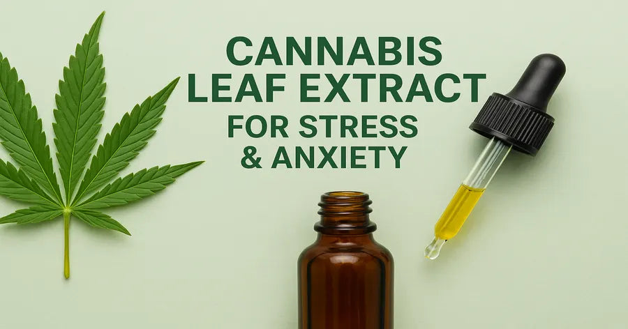 Cannabis Leaf Extract for Stress & Anxiety: A Holistic, Natural Approach