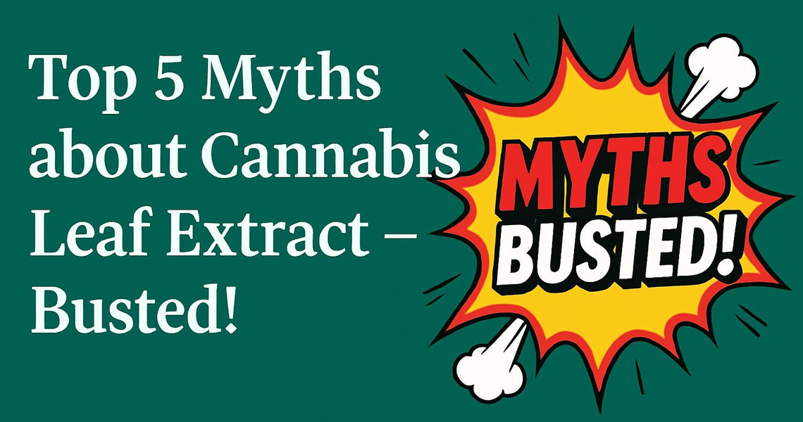 The Top 5 Myths About Cannabis Leaf Extract – Busted!