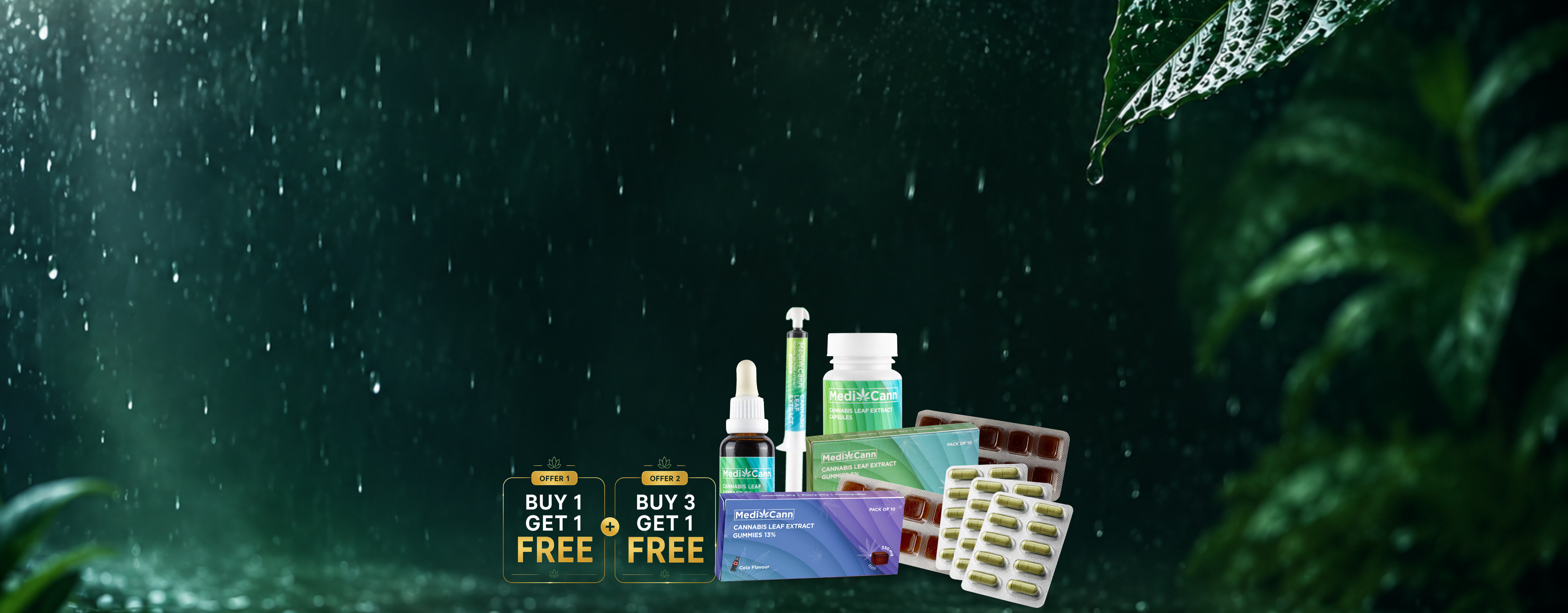 MONSOON RESET SALE 